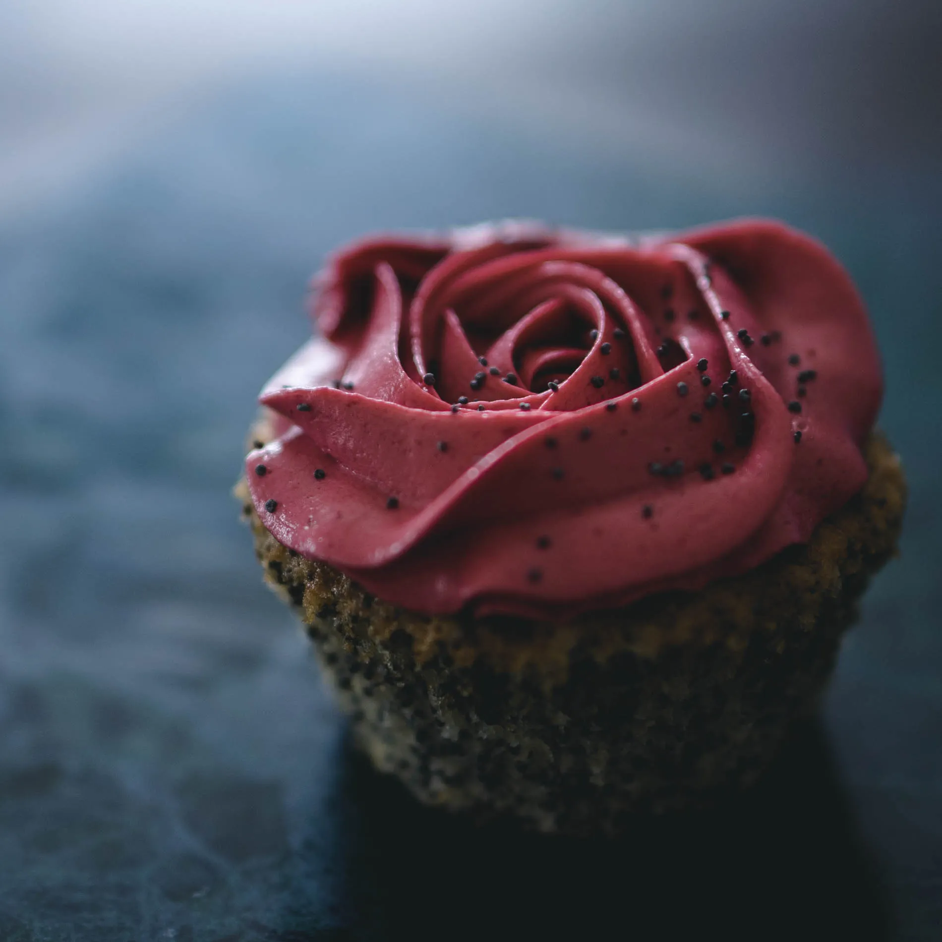 Poppy Seed Cupcake with Raspberry Frosting